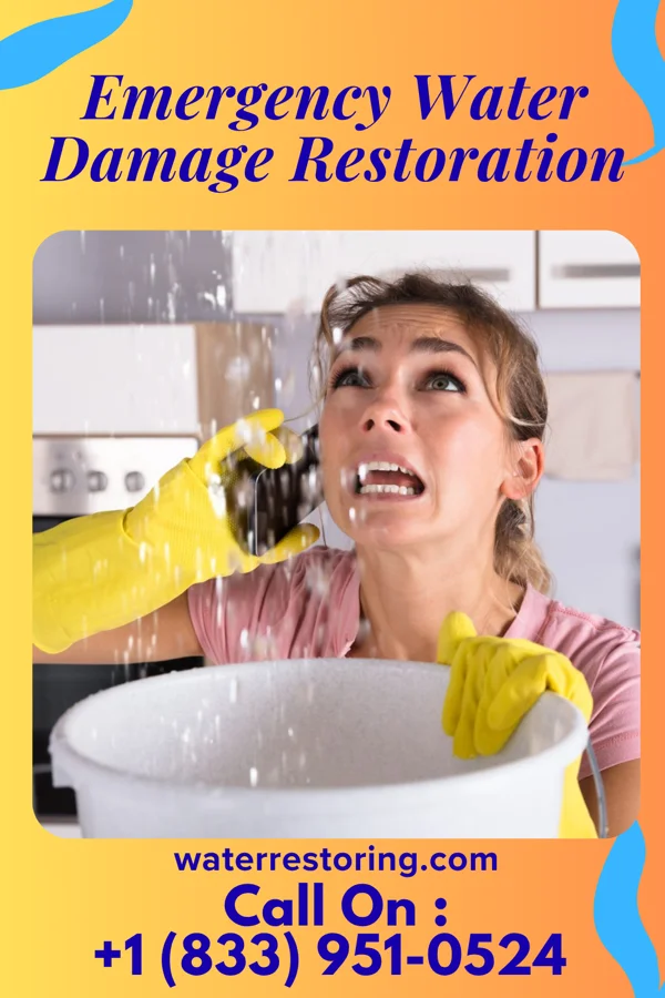 Emergency Water Damage Restoration in Conception Junction, MO
