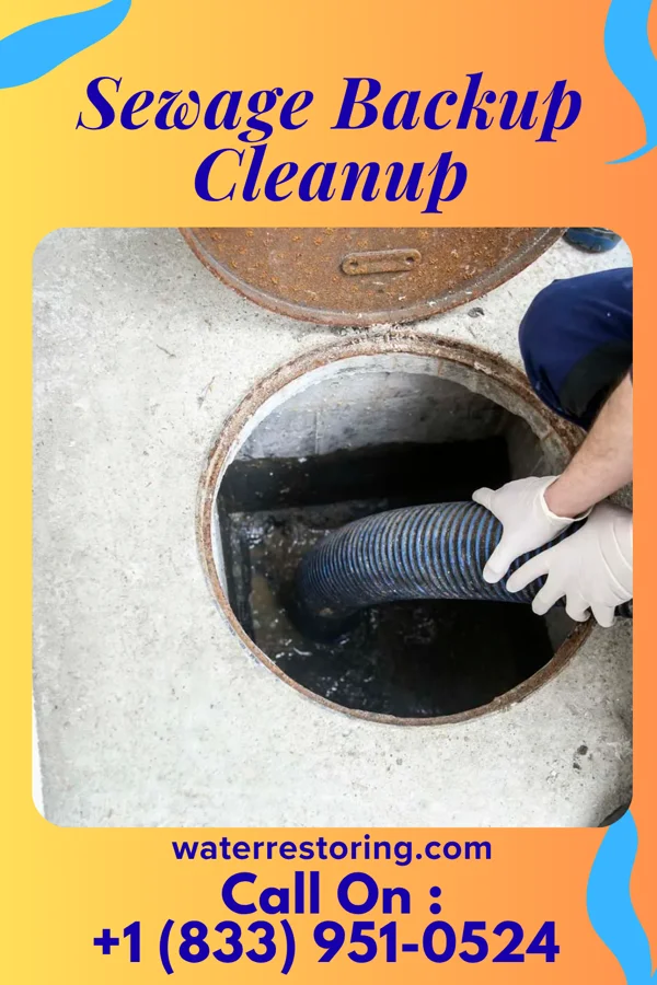 Sewage Backup Cleanup in Conception Junction, MO