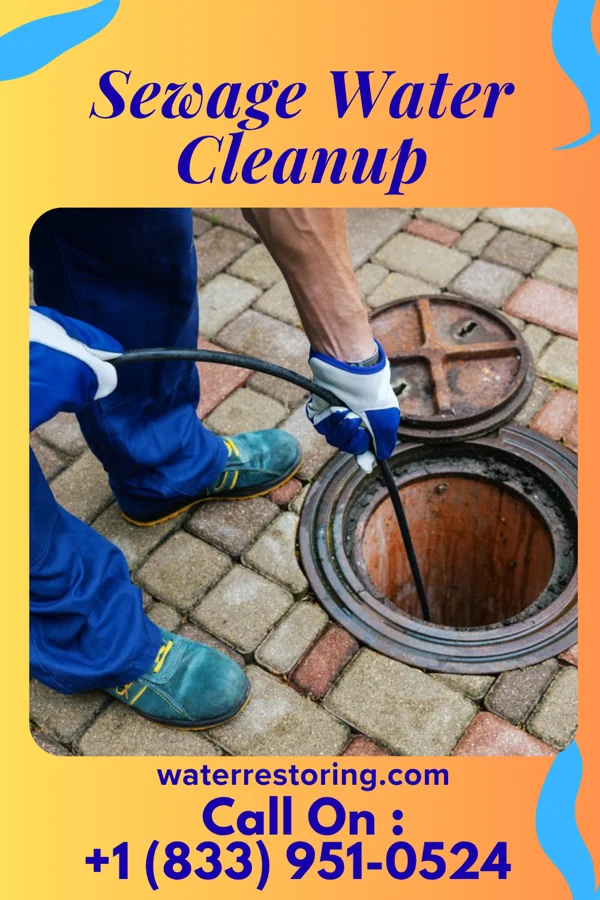 Sewage Water Cleanup in Conception Junction, MO